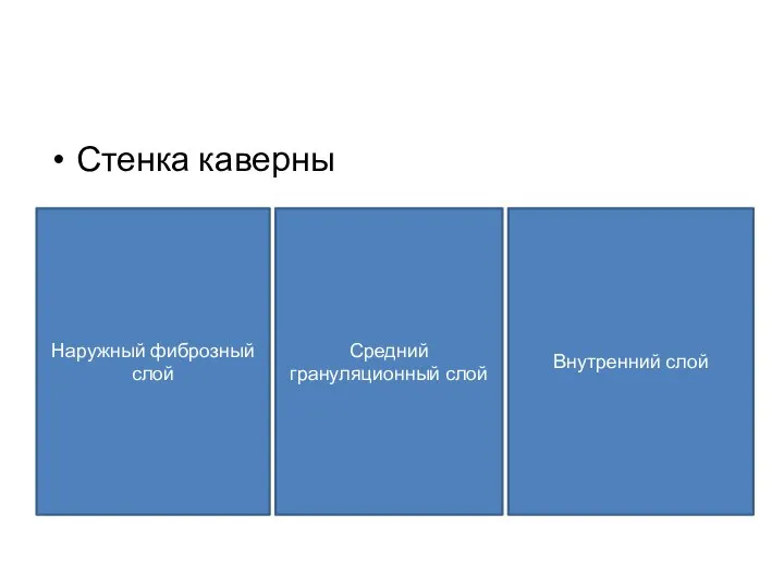 Стенка каверны Наружный фиброзный слой Средний грануляционный слой Внутренний слой