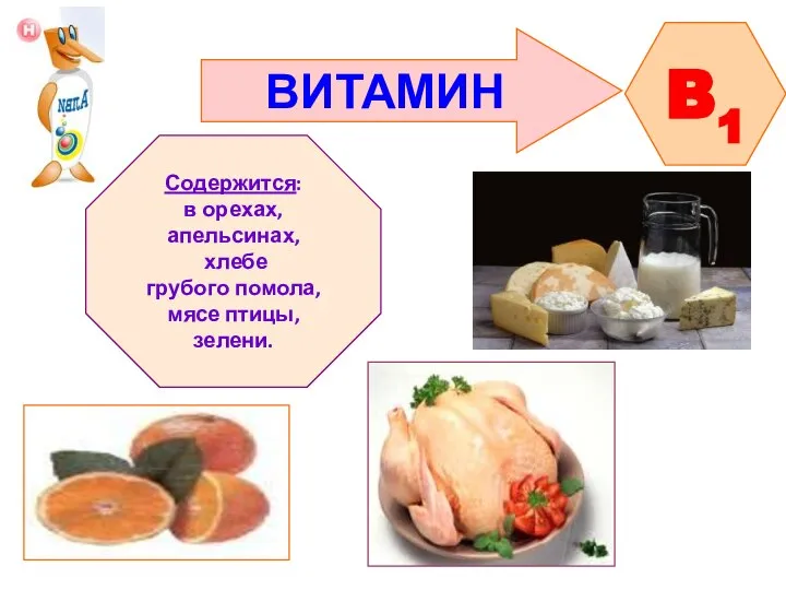 ВИТАМИН B1 Содержится: в орехах, апельсинах, хлебе грубого помола, мясе птицы, зелени.