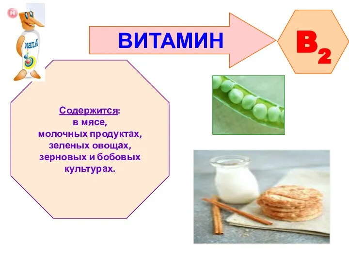 ВИТАМИН B2 Содержится: в мясе, молочных продуктах, зеленых овощах, зерновых и бобовых культурах.