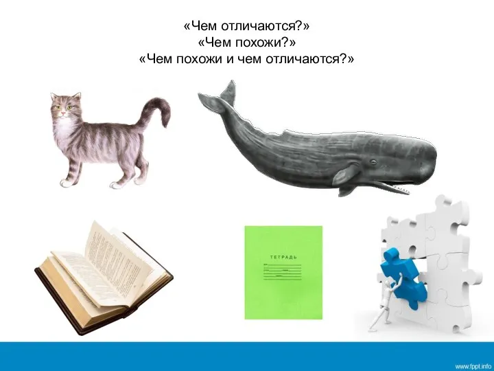 «Чем отличаются?» «Чем похожи?» «Чем похожи и чем отличаются?»