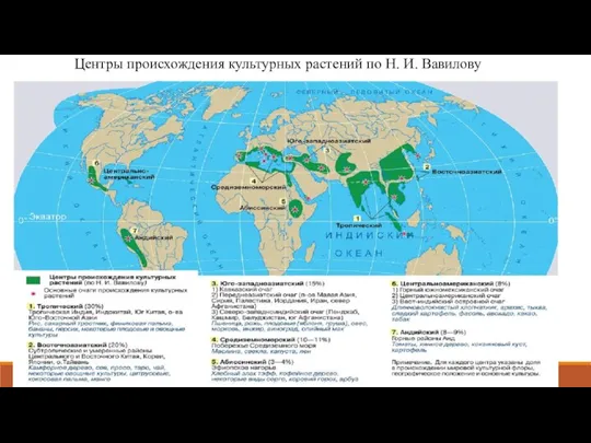 Центры происхождения культурных растений по Н. И. Вавилову