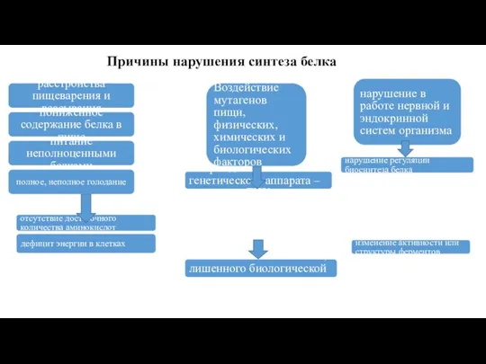 Причины нарушения синтеза белка расстройства пищеварения и всасывания пониженное содержание белка в