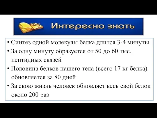 Синтез одной молекулы белка длится 3-4 минуты За одну минуту образуется от