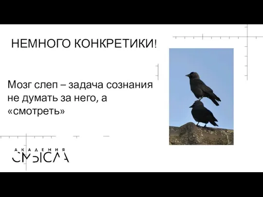 НЕМНОГО КОНКРЕТИКИ! Мозг слеп – задача сознания не думать за него, а «смотреть»