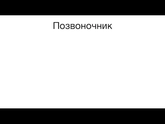 Позвоночник