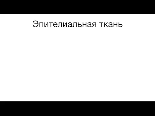 Эпителиальная ткань