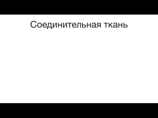 Соединительная ткань