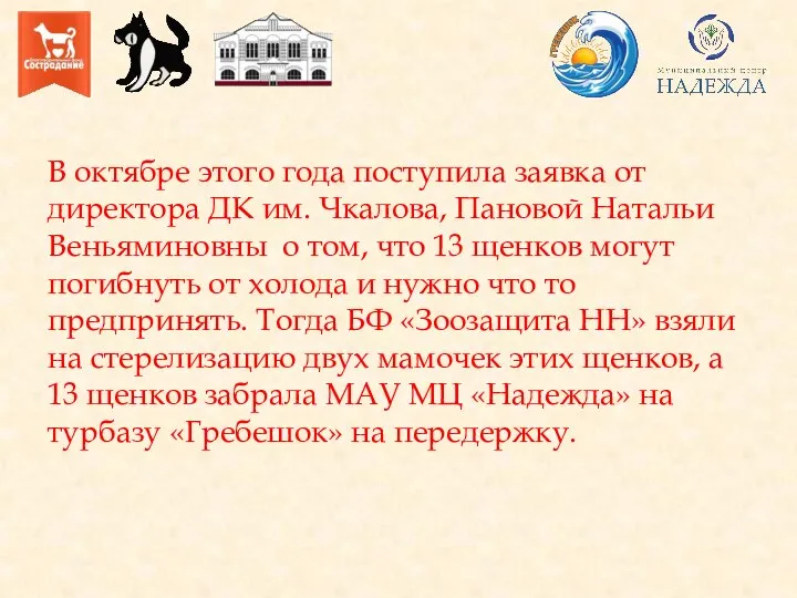 В октябре этого года поступила заявка от директора ДК им. Чкалова, Пановой