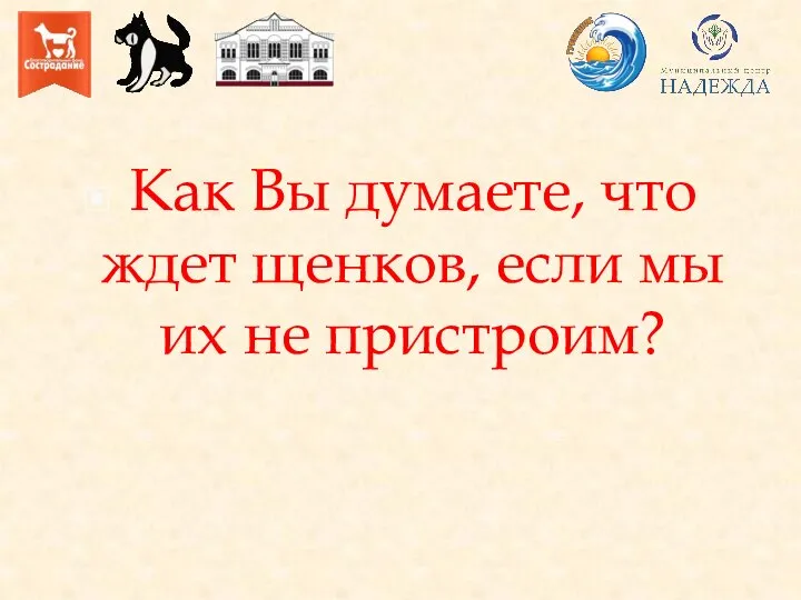 Как Вы думаете, что ждет щенков, если мы их не пристроим?