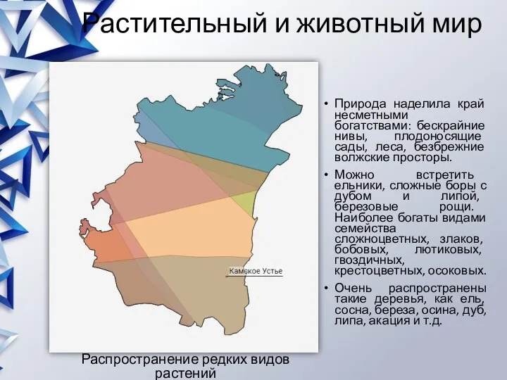 Растительный и животный мир Природа наделила край несметными богатствами: бескрайние нивы, плодоносящие