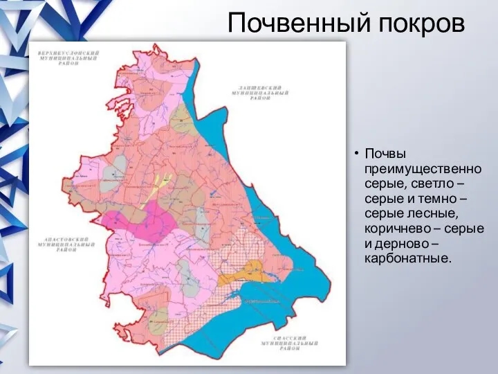 Почвенный покров Почвы преимущественно серые, светло – серые и темно – серые