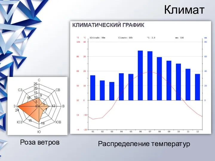 Климат Роза ветров Распределение температур