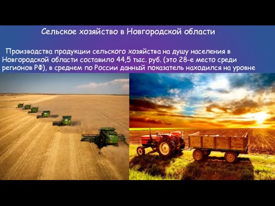 Производства продукции сельского хозяйства на душу населения в Новгородской области составило 44,5