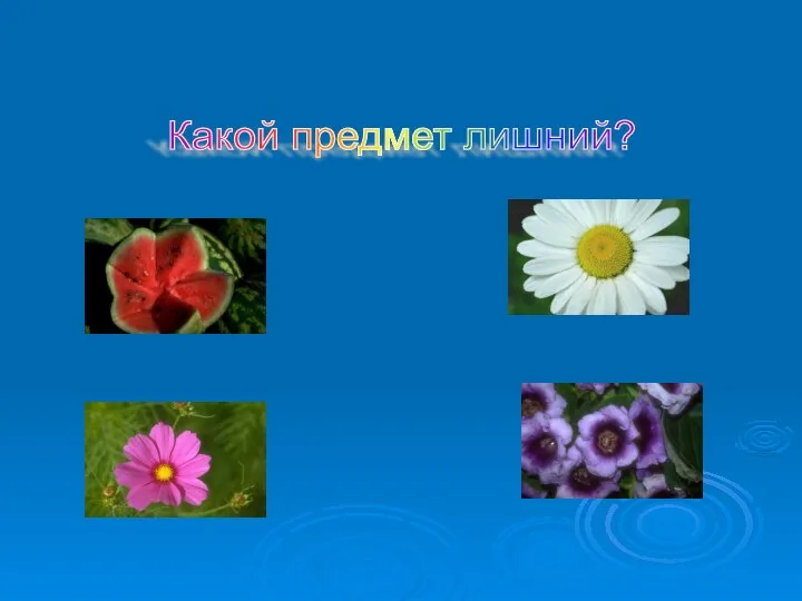 Какой предмет лишний?