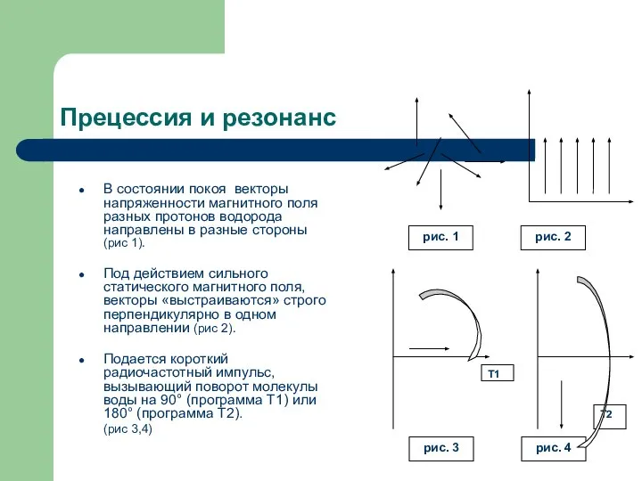 Прецессия и резонанс В состоянии покоя векторы напряженности магнитного поля разных протонов