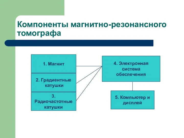 Компоненты магнитно-резонансного томографа