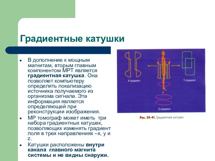 Градиентные катушки В дополнение к мощным магнитам, вторым главным компонентом МРТ является