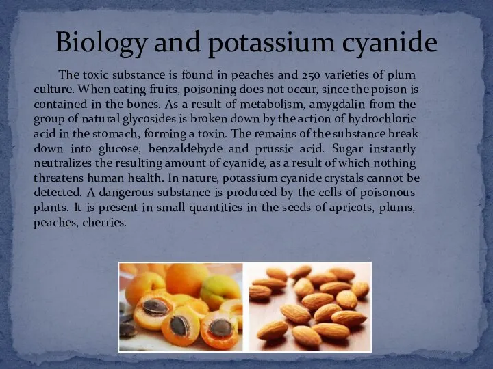 Biology and potassium cyanide The toxic substance is found in peaches and