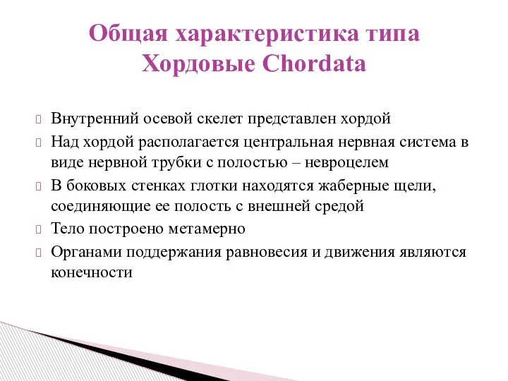 Внутренний осевой скелет представлен хордой Над хордой располагается центральная нервная система в