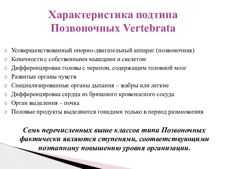 Усовершенствованный опорно-двигательный аппарат (позвоночник) Конечности с собственными мышцами и скелетом Дифференцировка головы