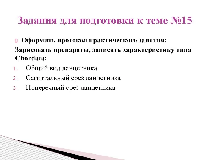 Оформить протокол практического занятия: Зарисовать препараты, записать характеристику типа Chordata: Общий вид