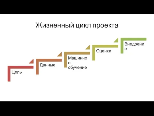 Жизненный цикл проекта