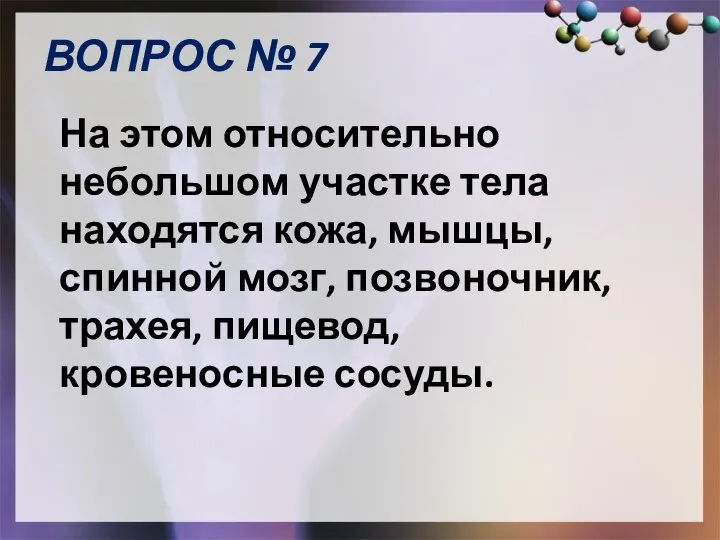 На этом относительно небольшом участке тела находятся кожа, мышцы, спинной мозг, позвоночник,