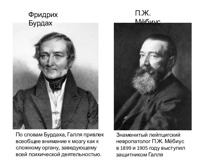 По словам Бурдаха, Галля привлек всеобщее внимание к мозгу как к сложному