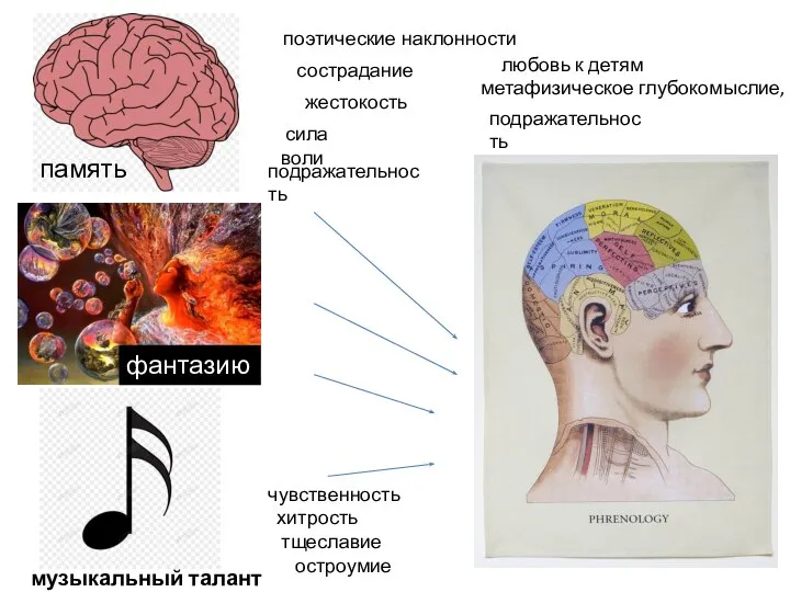 поэтические наклонности жестокость сострадание подражательность сила воли любовь к детям чувственность хитрость