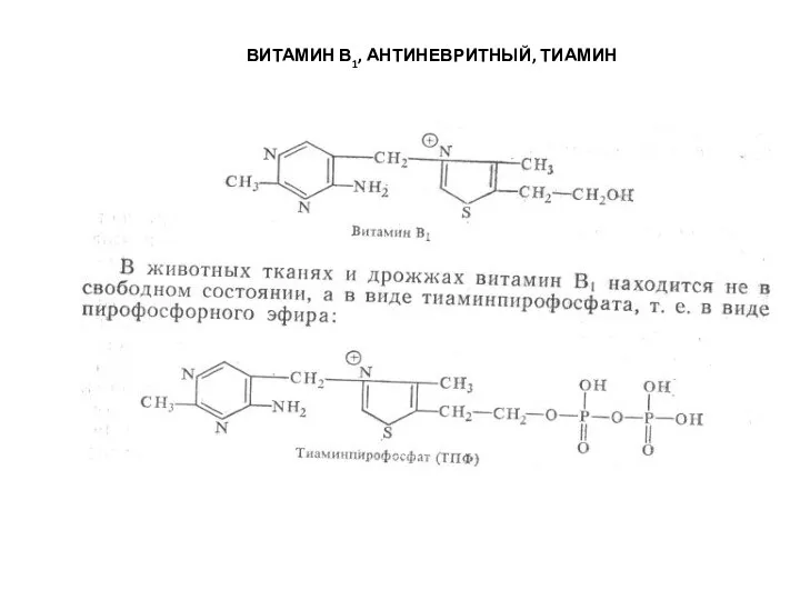 ВИТАМИН В1, АНТИНЕВРИТНЫЙ, ТИАМИН