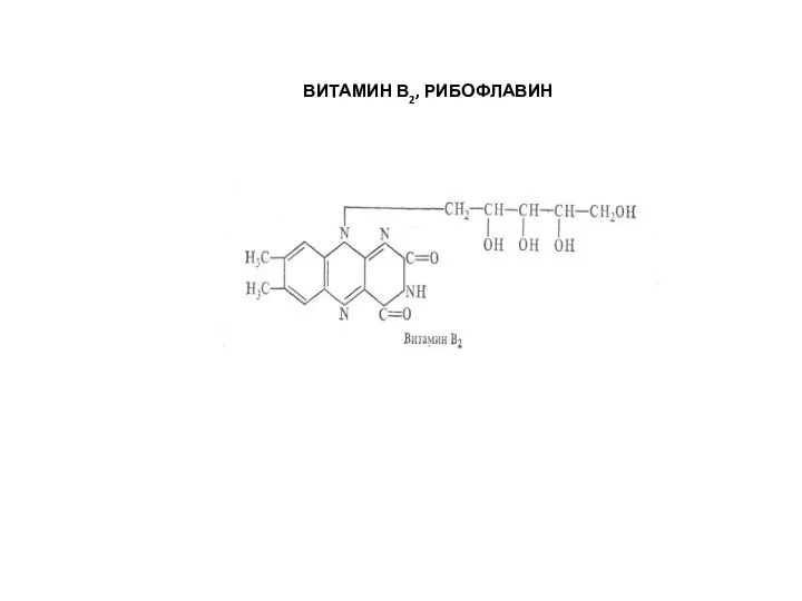 ВИТАМИН В2, РИБОФЛАВИН