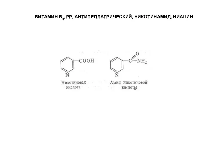 ВИТАМИН В3, РР, АНТИПЕЛЛАГРИЧЕСКИЙ, НИКОТИНАМИД, НИАЦИН