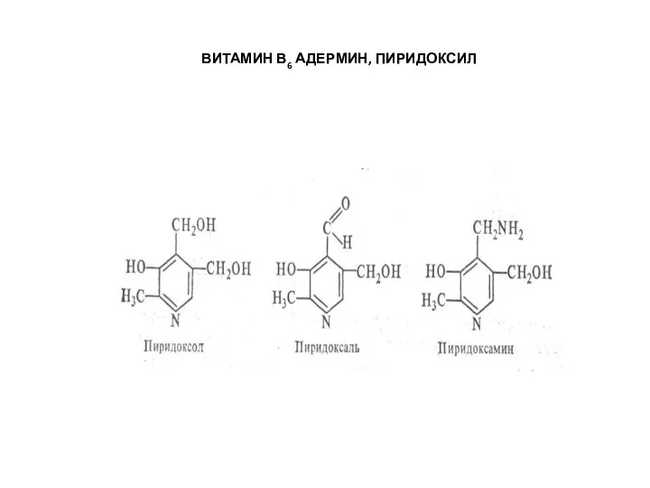 ВИТАМИН В6 АДЕРМИН, ПИРИДОКСИЛ