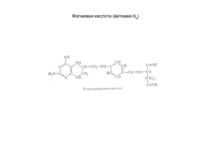 Фолиевая кислота (витамин B9)