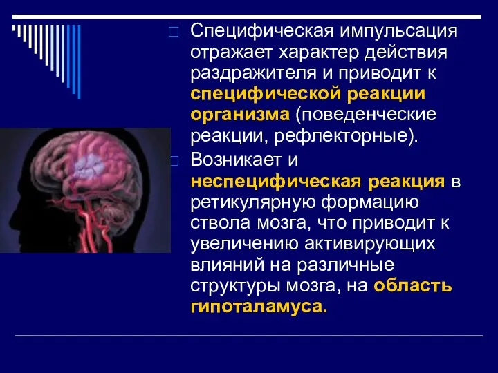 Специфическая импульсация отражает характер действия раздражителя и приводит к специфической реакции организма