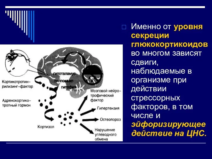 Именно от уровня секреции глюкокортикоидов во многом зависят сдвиги, наблюдаемые в организме