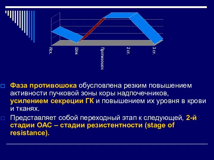 Фаза противошока обусловлена резким повышением активности пучковой зоны коры надпочечников, усилением секреции