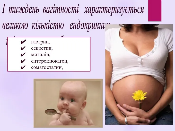 І тиждень вагітності характеризується великою кількістю ендокринних клітин, що виробляють : гастрин, секретин, мотилін, ентероглюкагон, соматостатин,
