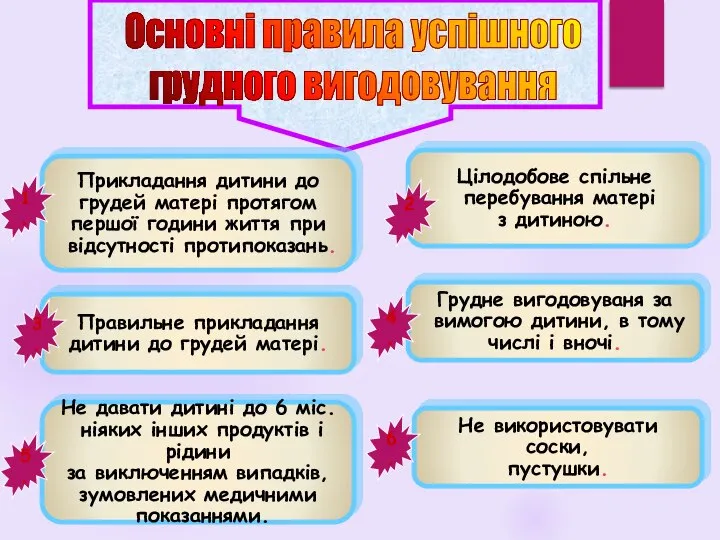 Основні правила успішного грудного вигодовування Прикладання дитини до грудей матері протягом першої