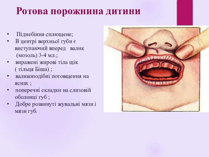 Піднебіння сплющене; В центрі верхньої губи є виступаючий вперед валик (мозоль) 3-4