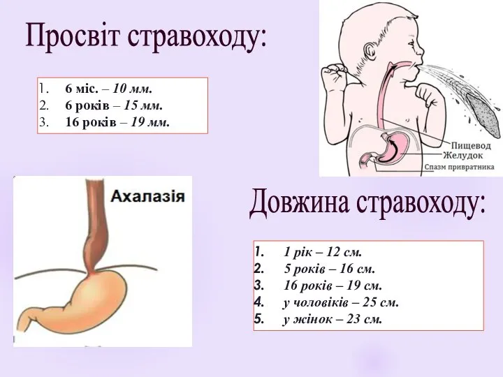 Просвіт стравоходу: 6 міс. – 10 мм. 6 років – 15 мм.