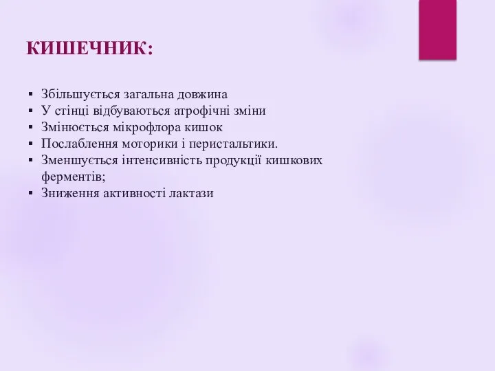 КИШЕЧНИК: Збільшується загальна довжина У стінці відбуваються атрофічні зміни Змінюється мікрофлора кишок