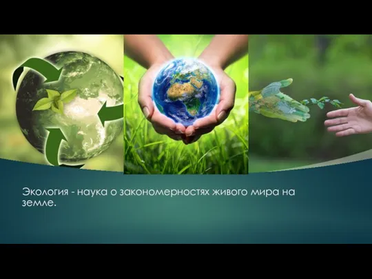 Экология - наука о закономерностях живого мира на земле.