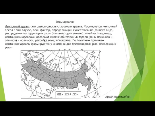 Ленточный ареал - это разновидность сплошного ареала. Формируется ленточный ареал в том