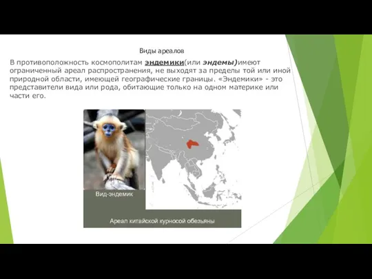 Виды ареалов В противоположность космополитам эндемики(или эндемы)имеют ограниченный ареал распространения, не выходят