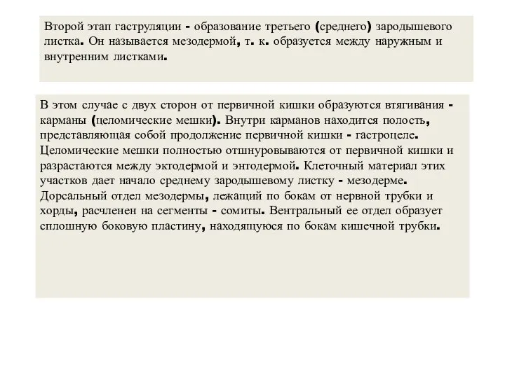 Второй этап гаструляции - образование третьего (среднего) зародышевого листка. Он называется мезодермой,