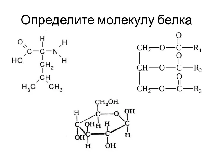 Определите молекулу белка