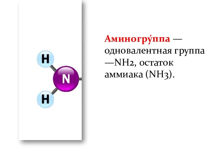 Аминогру́ппа — одновалентная группа —NH2, остаток аммиака (NH3).