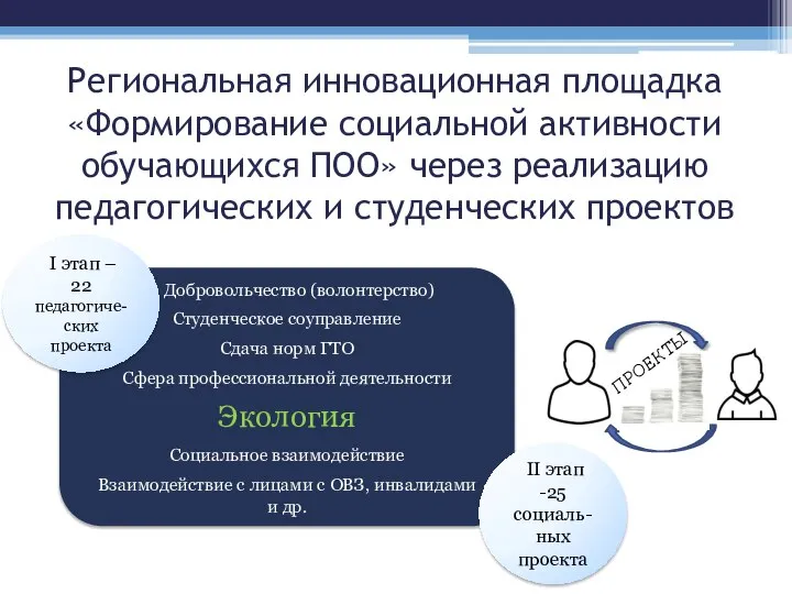 Региональная инновационная площадка «Формирование социальной активности обучающихся ПОО» через реализацию педагогических и