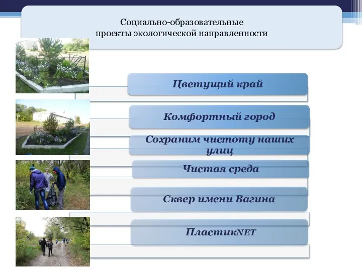 Социально-образовательные проекты экологической направленности